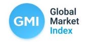 gmi broker logo